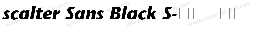 scalter Sans Black S字体转换